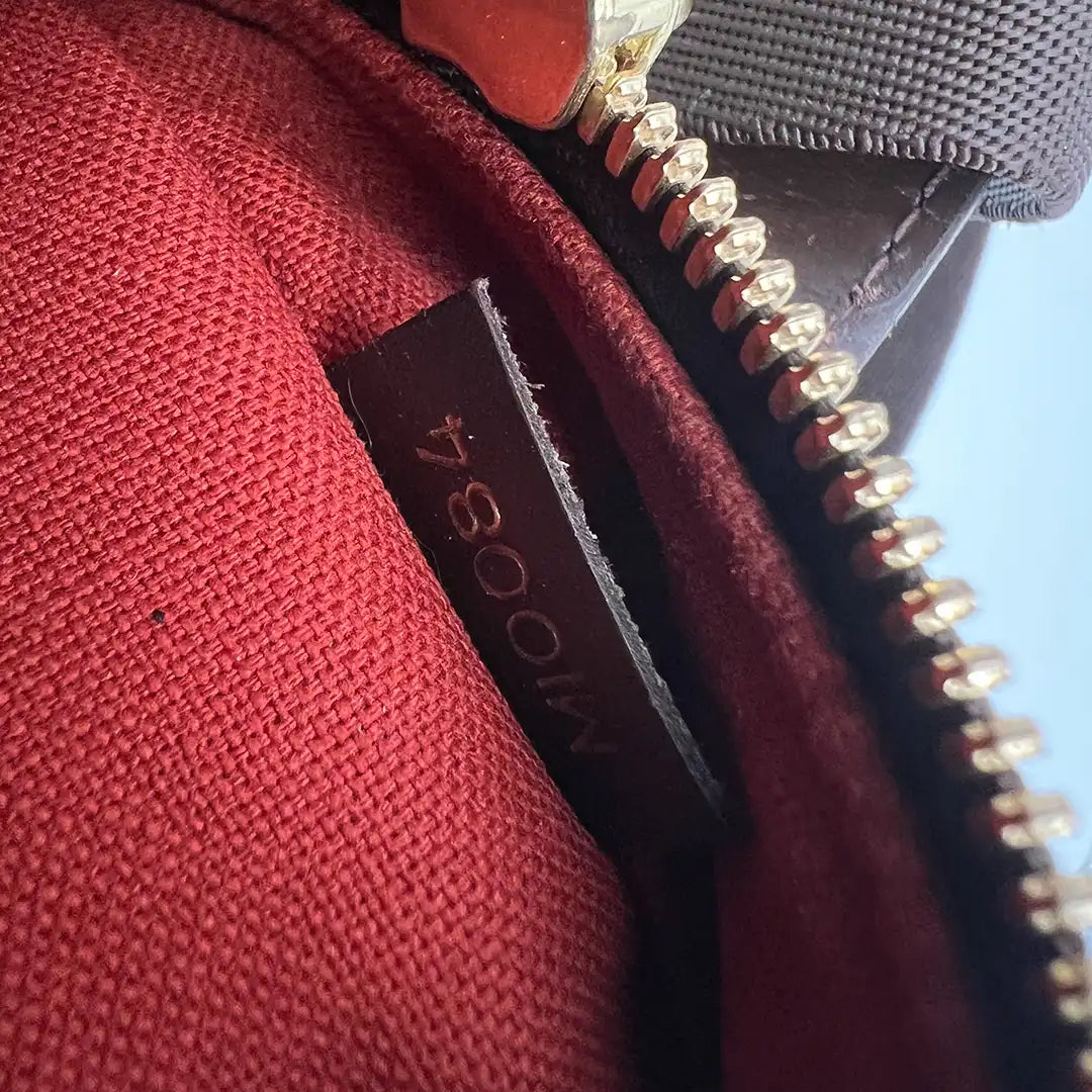 Louis Vuitton OLAV PM Umhängetasche Damier Ebene Canvas / akzeptabel Louis Vuitton