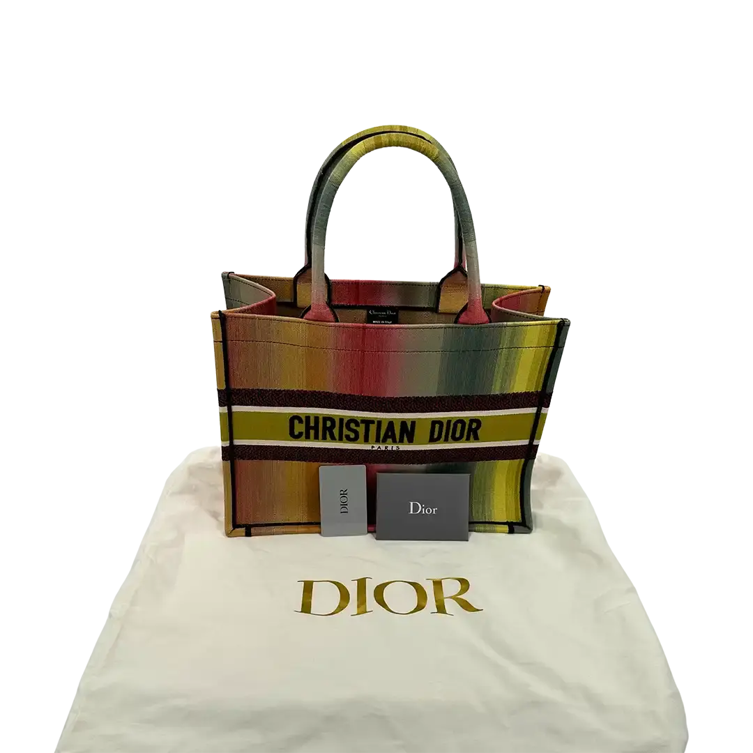 Dior Booktote mittelgroß Mulicolor Dioraura / sehr gut Dior