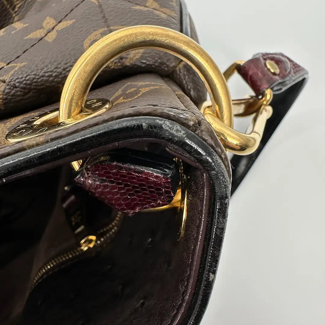 Louis Vuitton Etoile GM Exotique Tote Bag / sehr gut