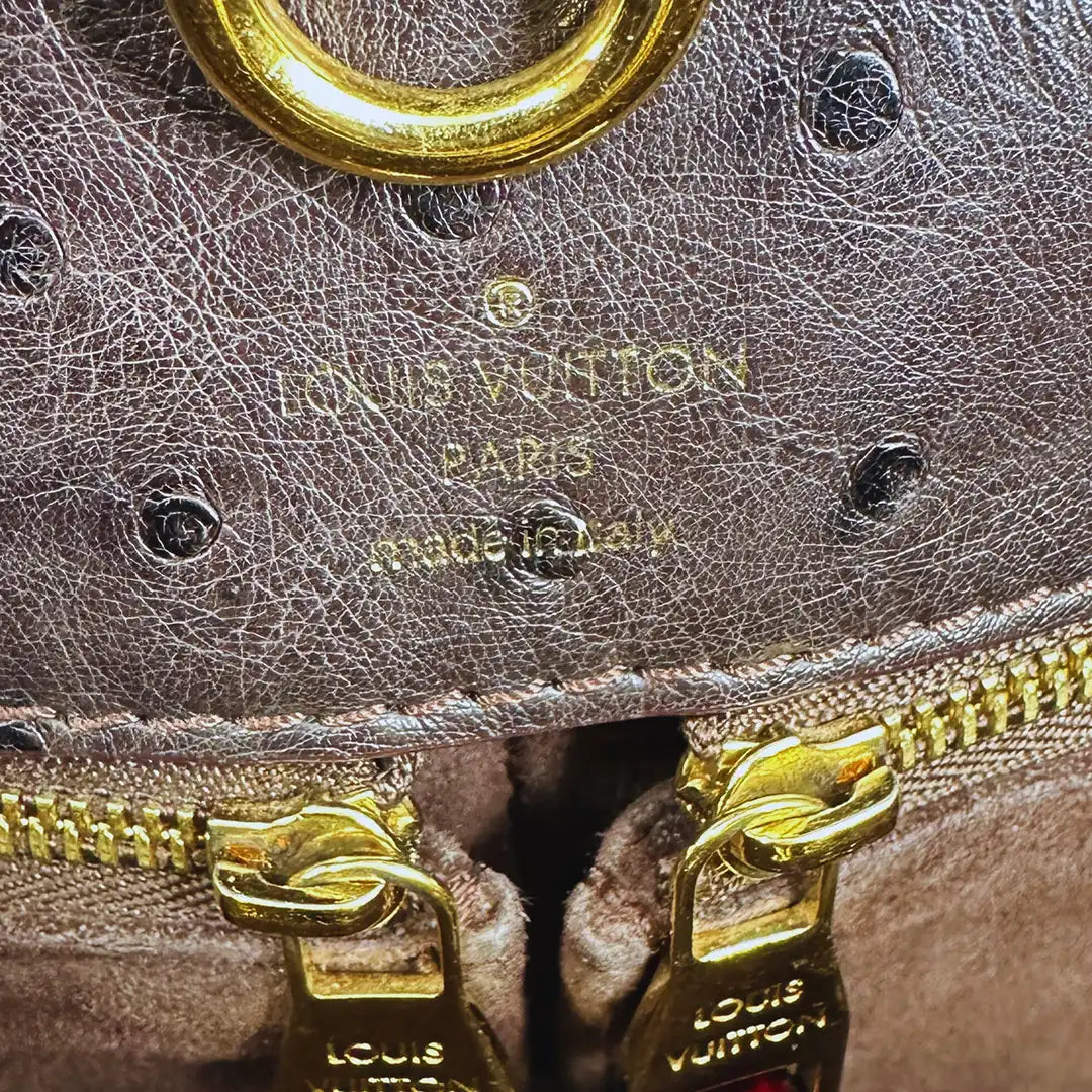 Louis Vuitton Etoile GM Exotique Tote Bag / sehr gut