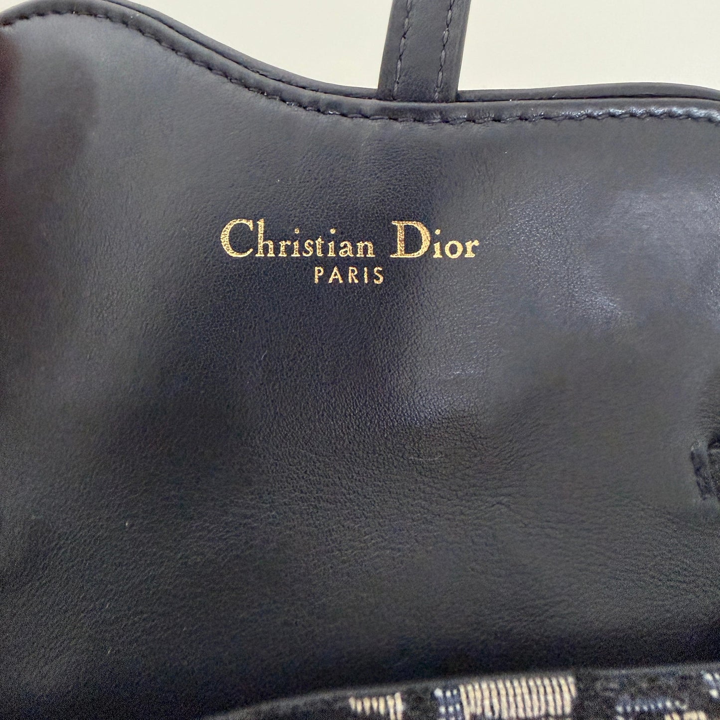 Christian Dior Nano Saddle Crossybody Belt Pochette Oblique / sehr gut Dior
