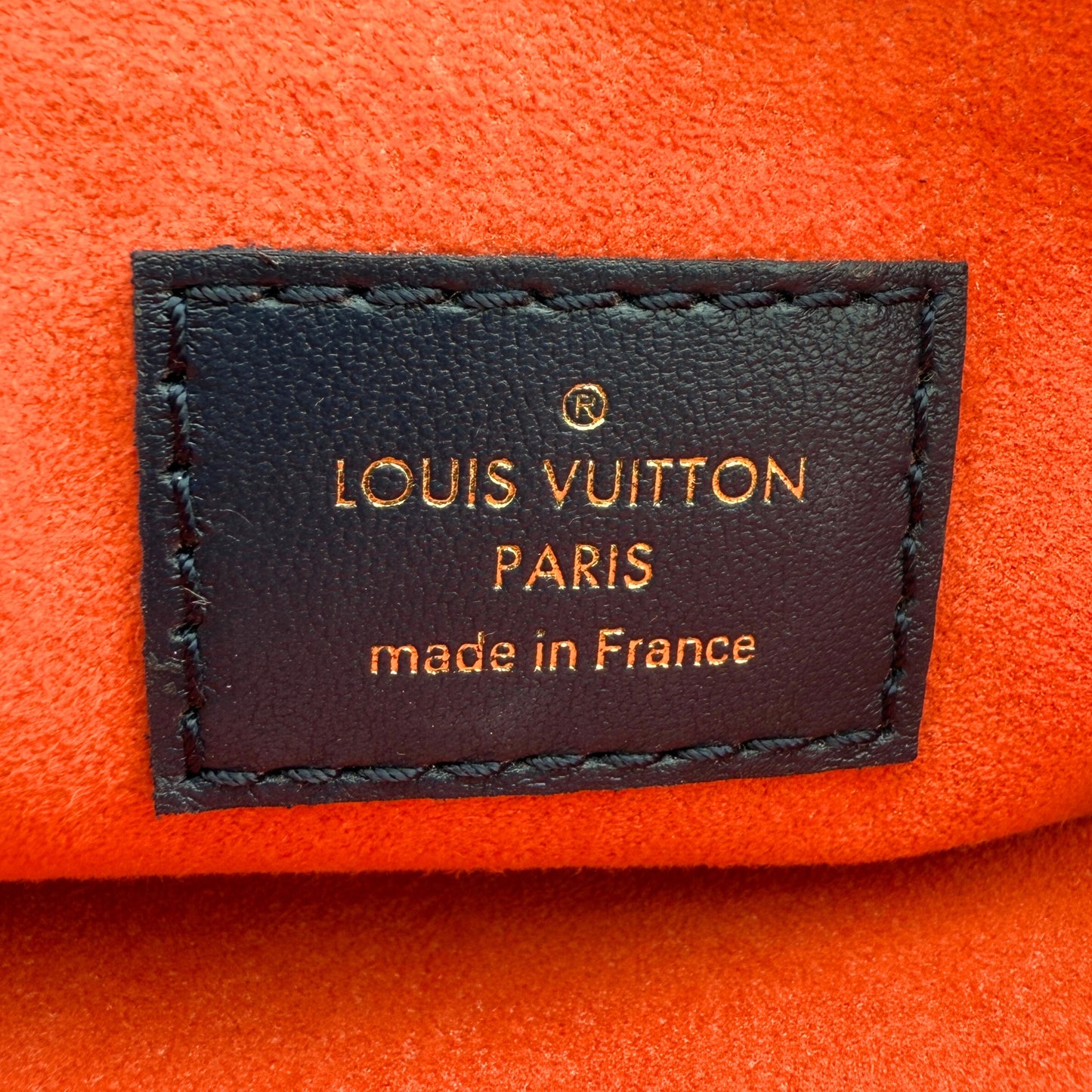 Louis Vuitton Coussin PM Garden Navyblau / sehr gut