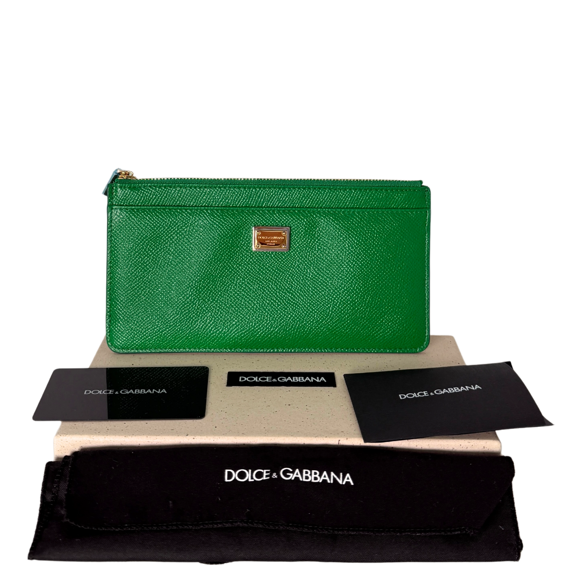 Dolce & Gabbana Geldbörse Grün / neuwertig Dolce & Gabbana