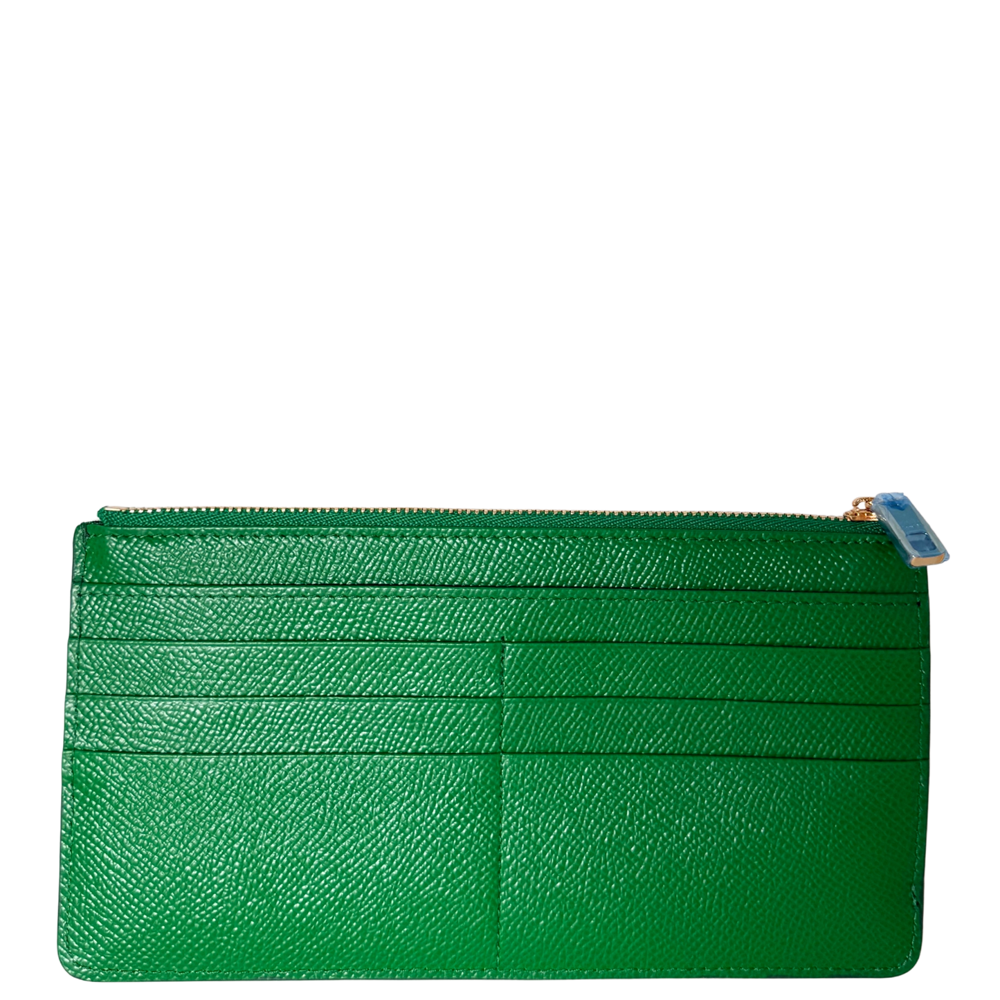 Dolce & Gabbana Geldbörse Grün / neuwertig Dolce & Gabbana