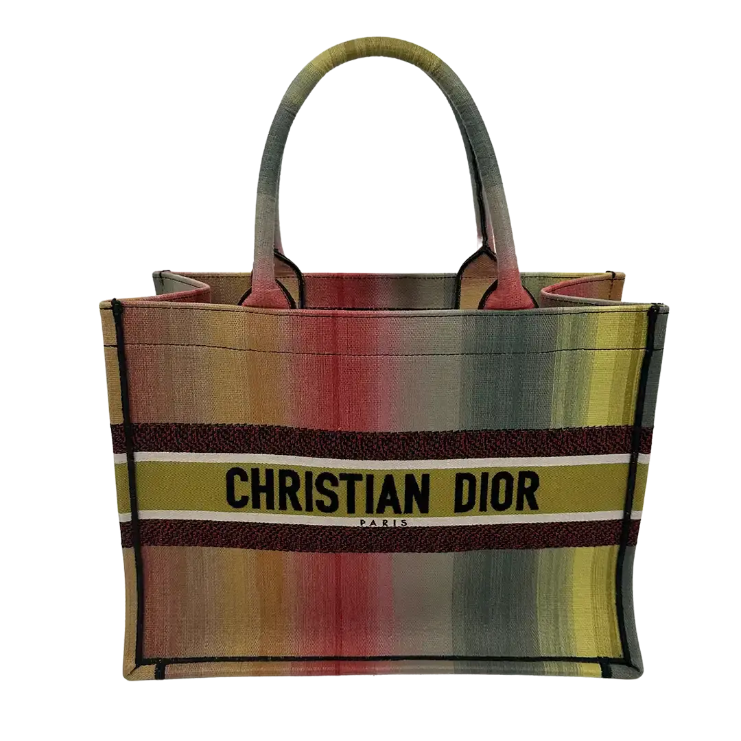 Dior Booktote mittelgroß Mulicolor Dioraura / sehr gut Dior