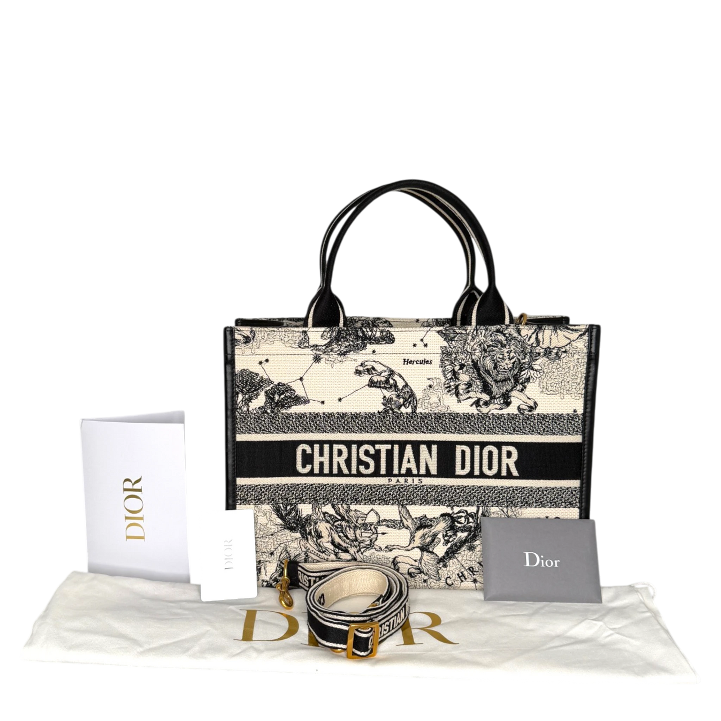 Dior Book Tote Medium Dior Zodiac Stickerei Latte Multicolor Schwarzes Leder mit Schulterriemen 2024 Dior