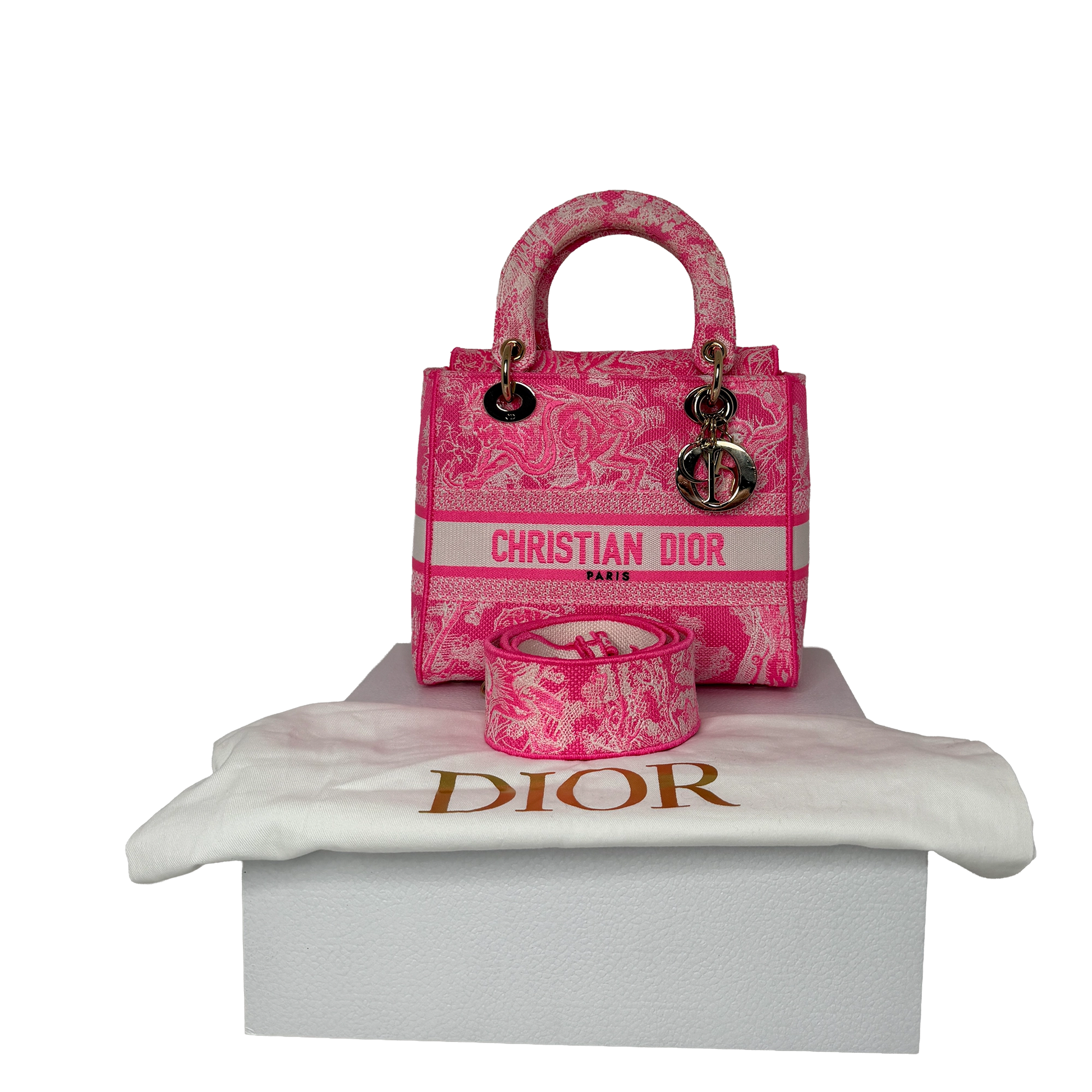 Dior Lady D-Lite Medium Toile de Jouy fluoreszierendes Pink Fullset Dior