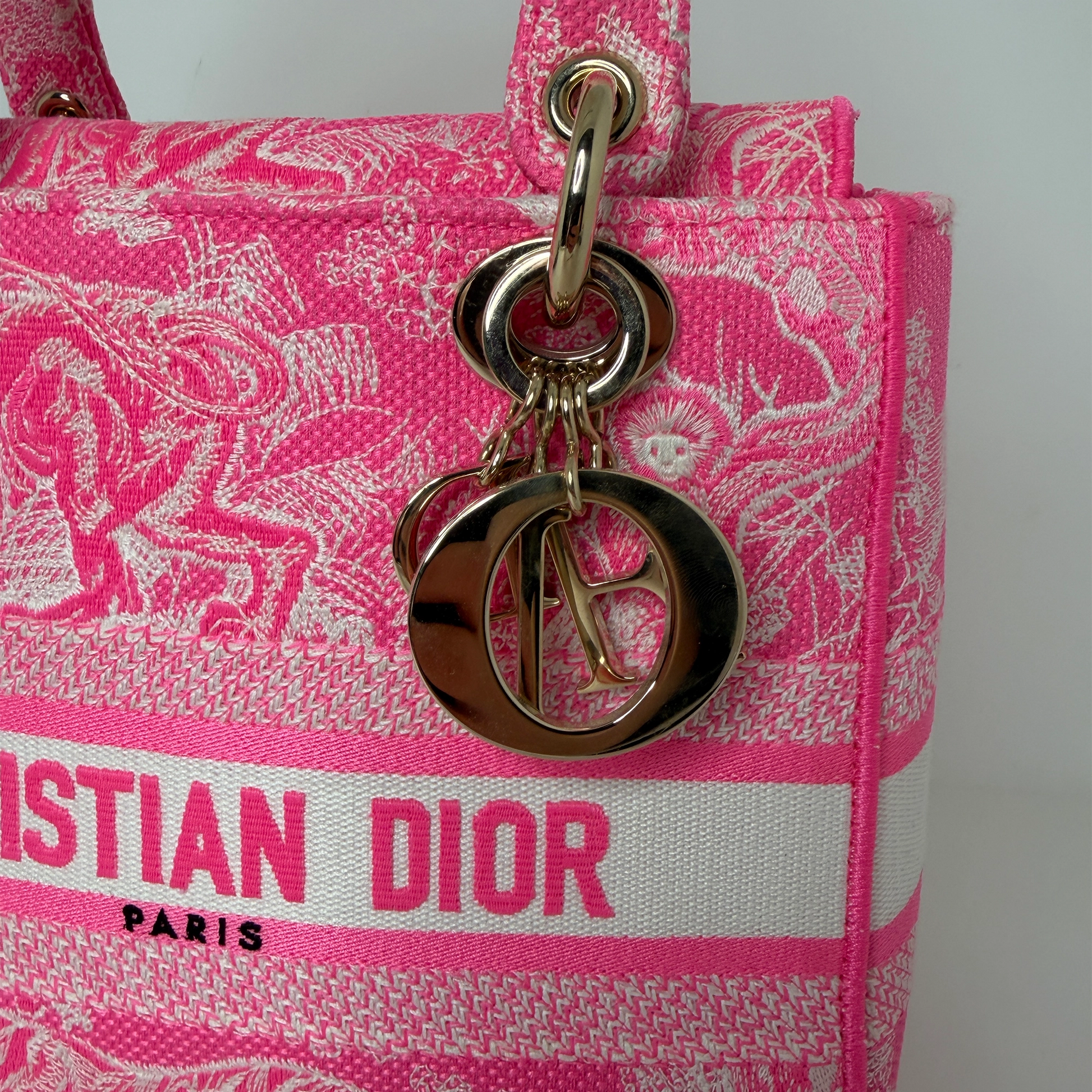 Dior Lady D-Lite Medium Toile de Jouy fluoreszierendes Pink Fullset Dior