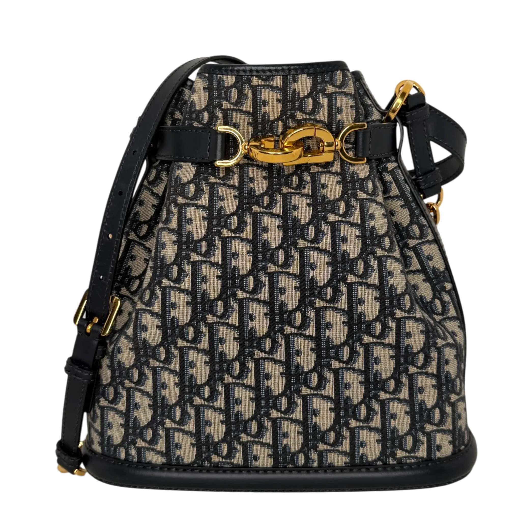 Dior Oblique Jacquard C'est Bucket Medium 2023 Dior