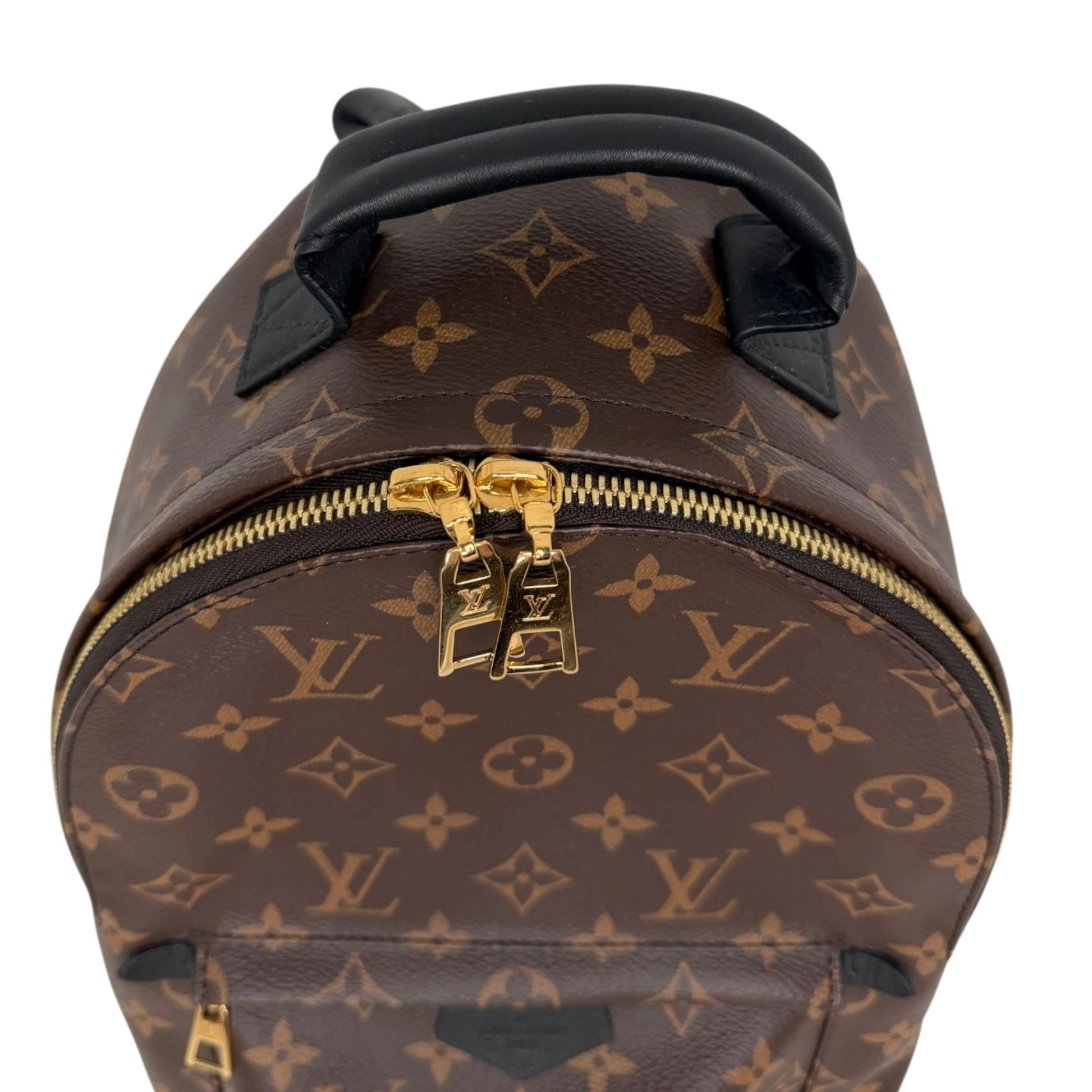 Louis Vuitton Palm Springs PM M44871 Monogram Canvas Louis Vuitton