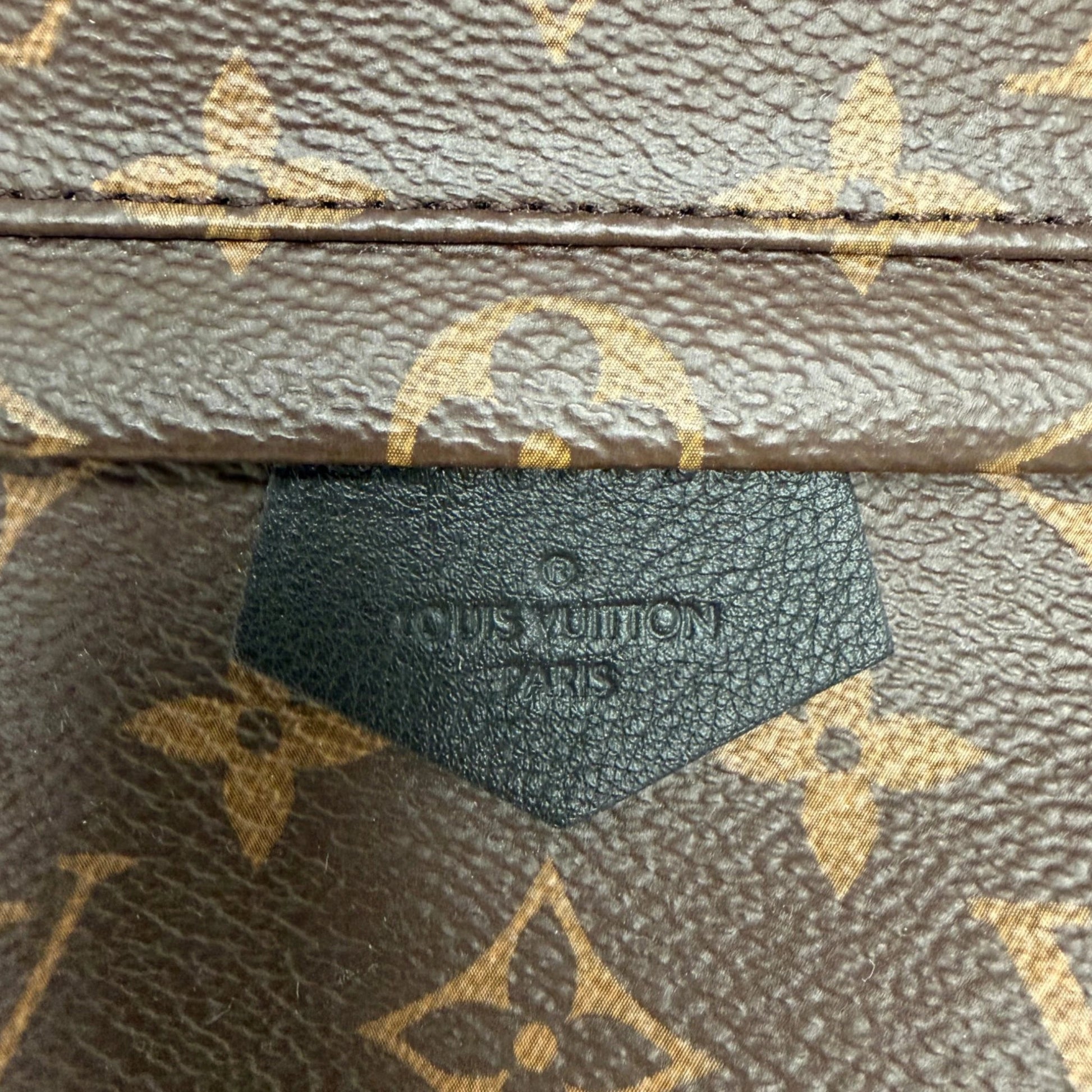 Louis Vuitton Palm Springs PM M44871 Monogram Canvas Louis Vuitton