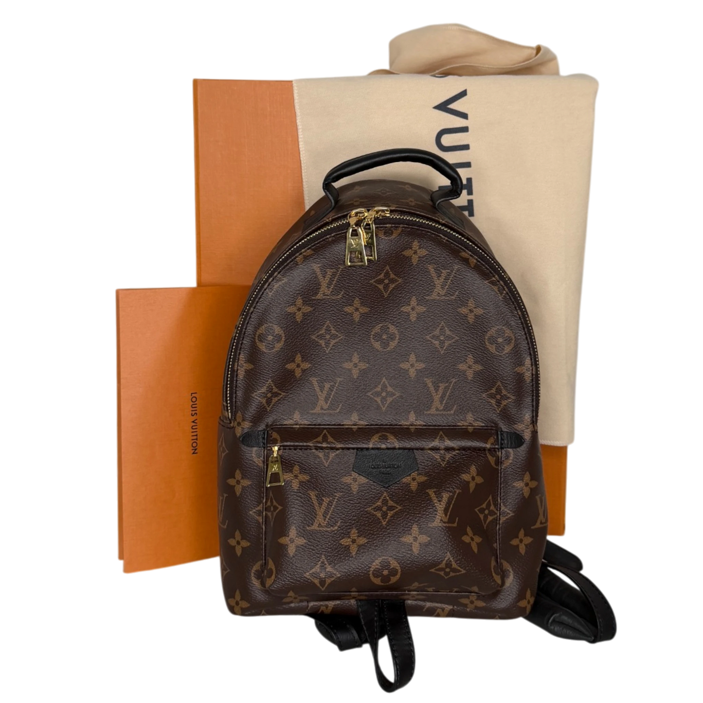 Louis Vuitton Palm Springs PM M44871 Monogram Canvas Louis Vuitton