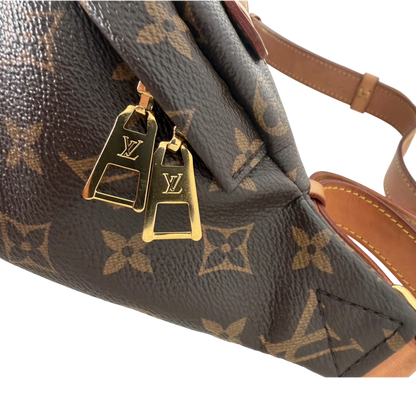 Louis Vuitton Bumbag Monogram Canvas M43644 Braun Louis Vuitton