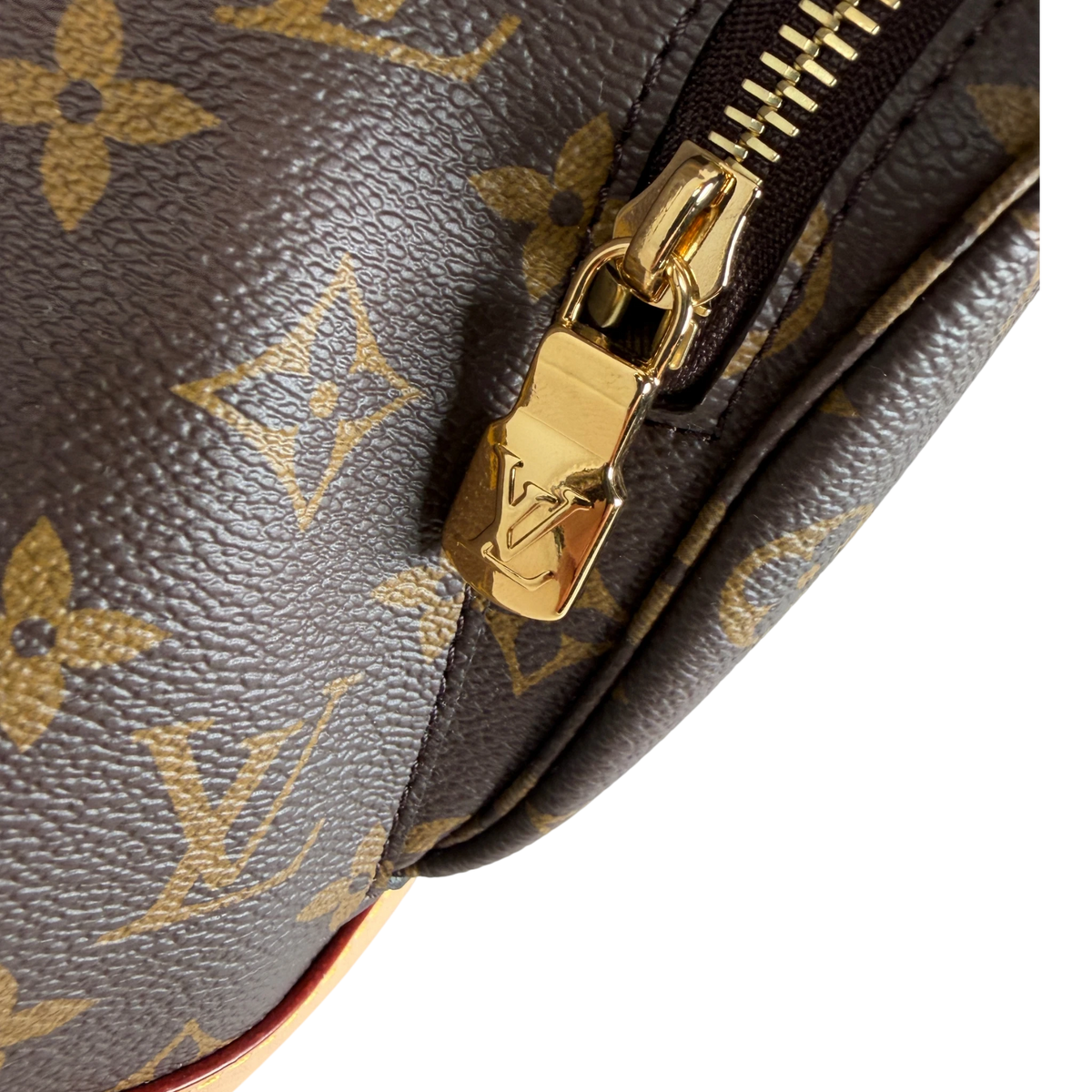 Louis Vuitton Montsouris MM Rucksack Monogram Canvas Vachetta Gold