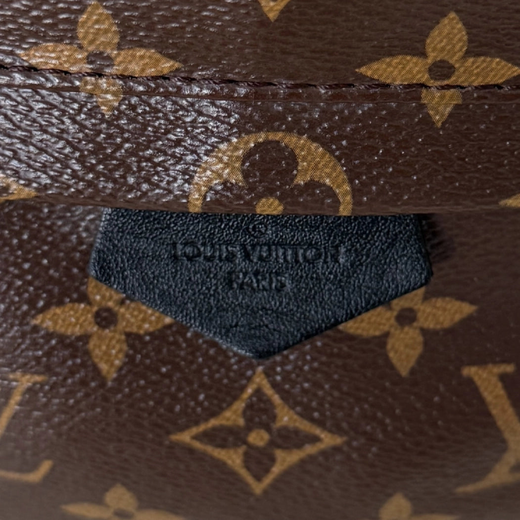 Louis Vuitton Palm Springs Rucksack PM M44871 Braun / sehr gut Louis Vuitton