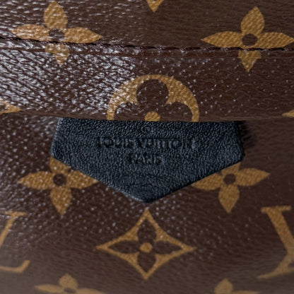 Louis Vuitton Palm Springs Rucksack PM M44871 Braun / sehr gut Louis Vuitton