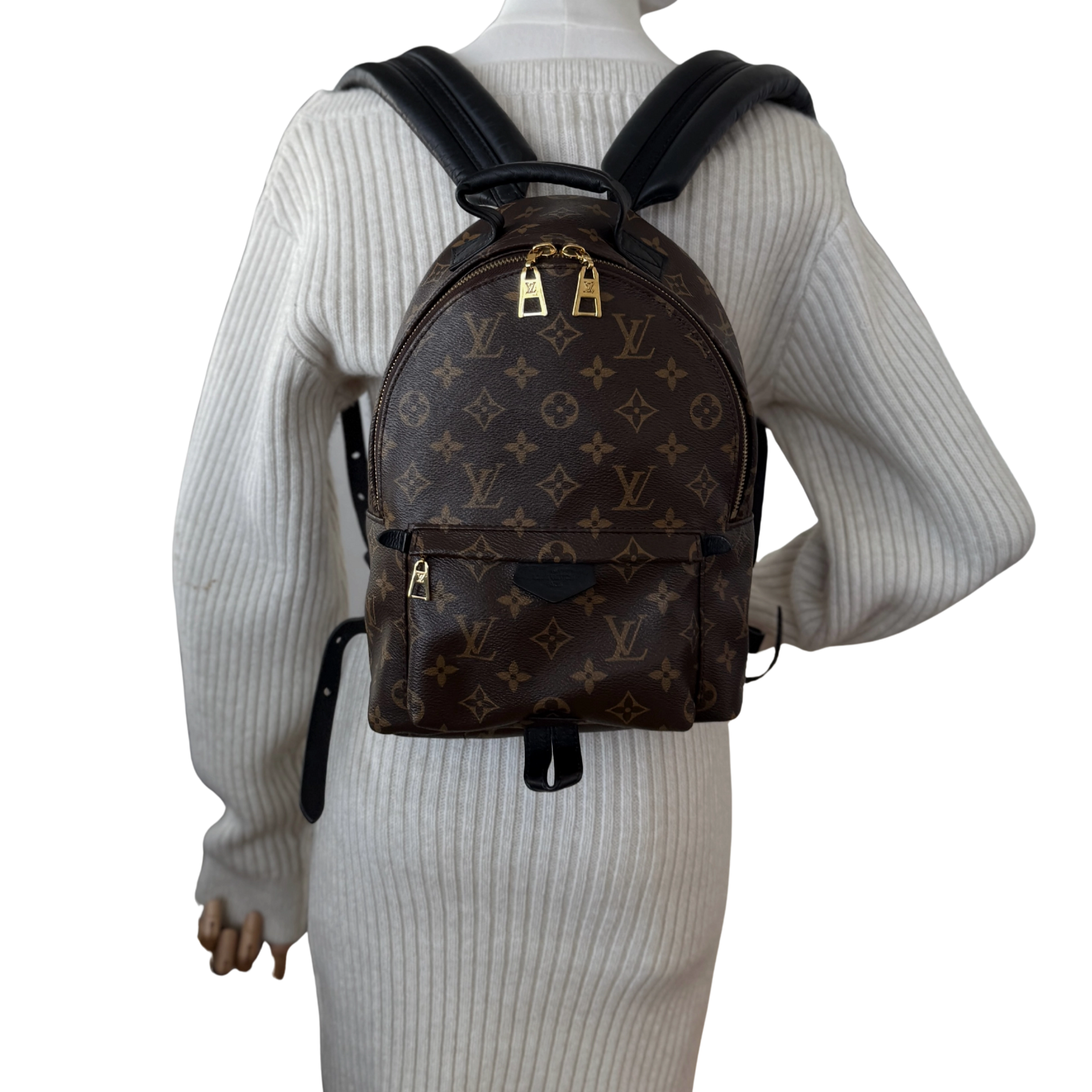 Louis Vuitton Palm Springs Rucksack PM M44871 Braun / sehr gut Louis Vuitton