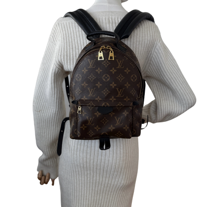 Louis Vuitton Palm Springs Rucksack PM M44871 Braun / sehr gut Louis Vuitton