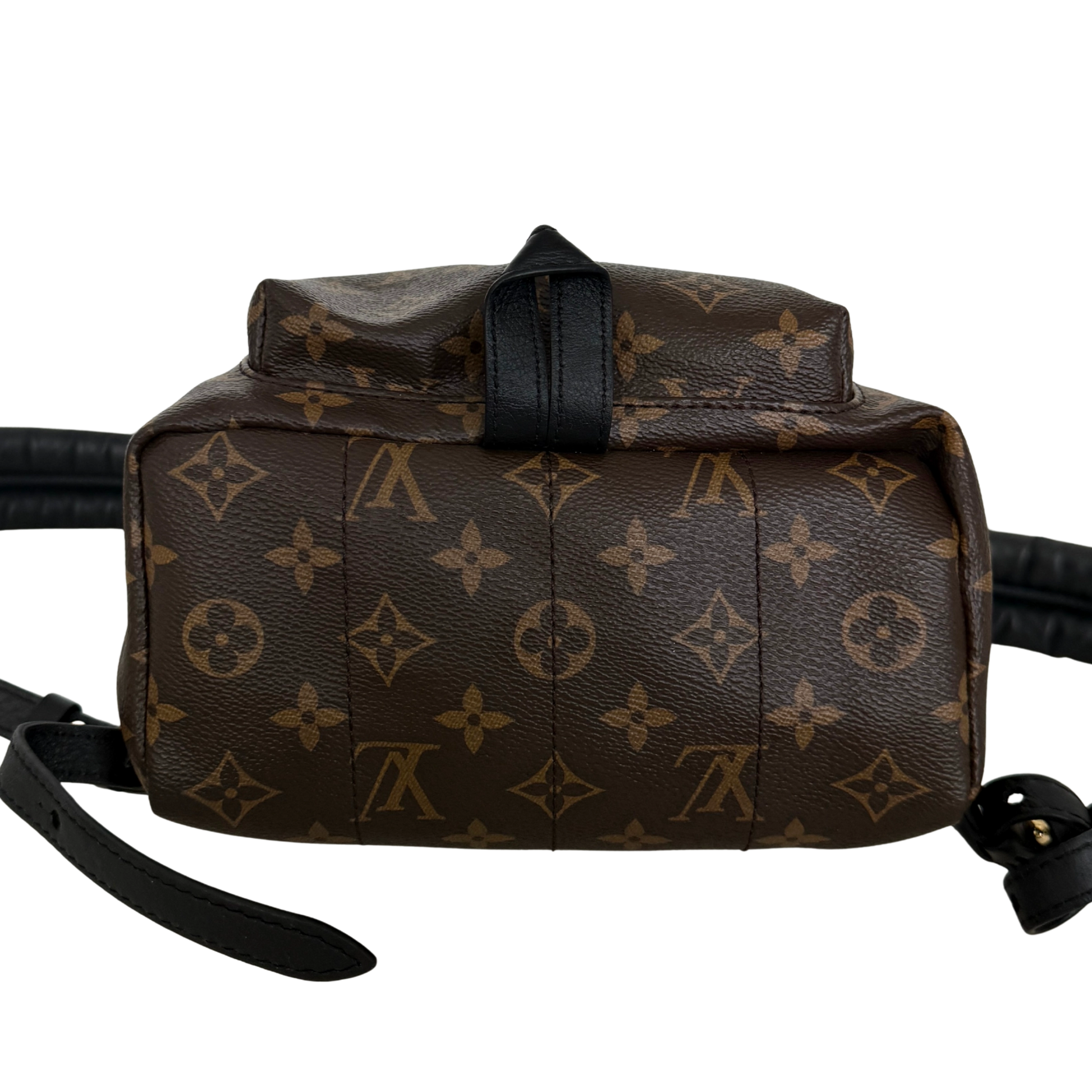 Louis Vuitton Palm Springs Rucksack PM M44871 Braun / sehr gut Louis Vuitton
