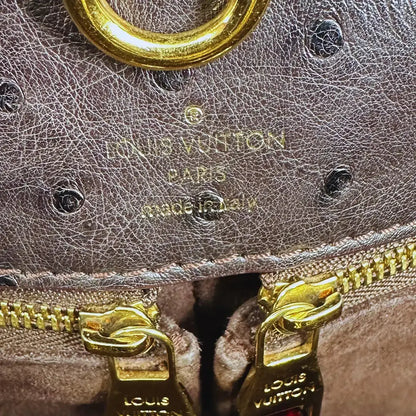Louis Vuitton Etoile GM  Exotique Tote Bag / sehr gut Louis Vuitton
