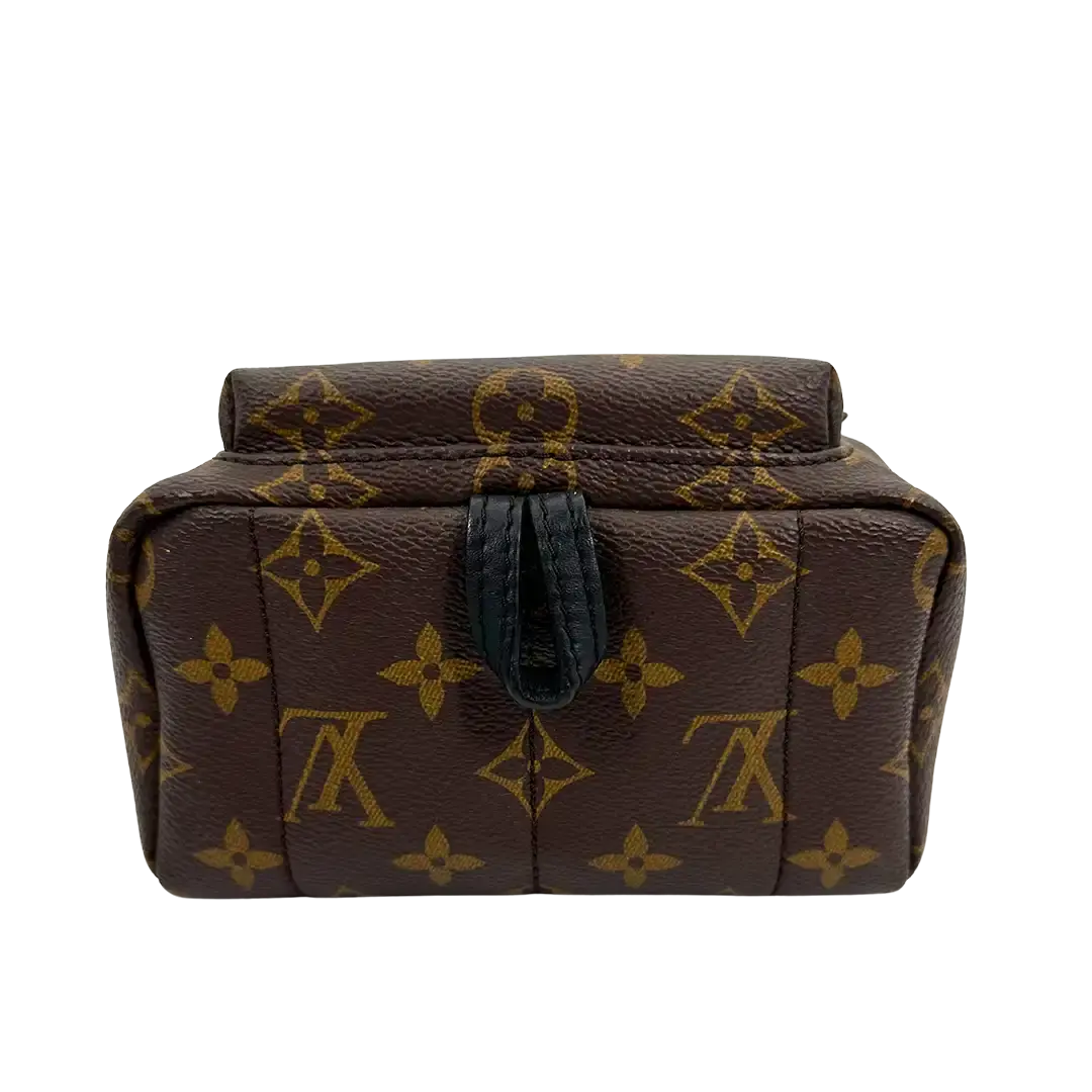 Louis Vuitton Palm Springs Mini Rucksack Monogram M44873 / sehr gut Louis Vuitton