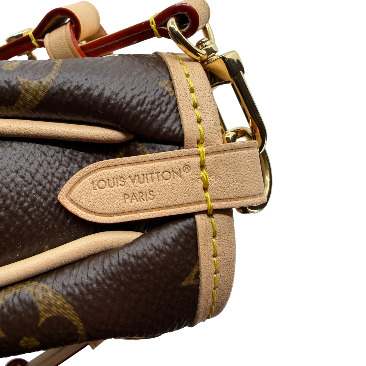 Louis Vuitton Nano Frivole Monogram Canvas Braun Gold M29537