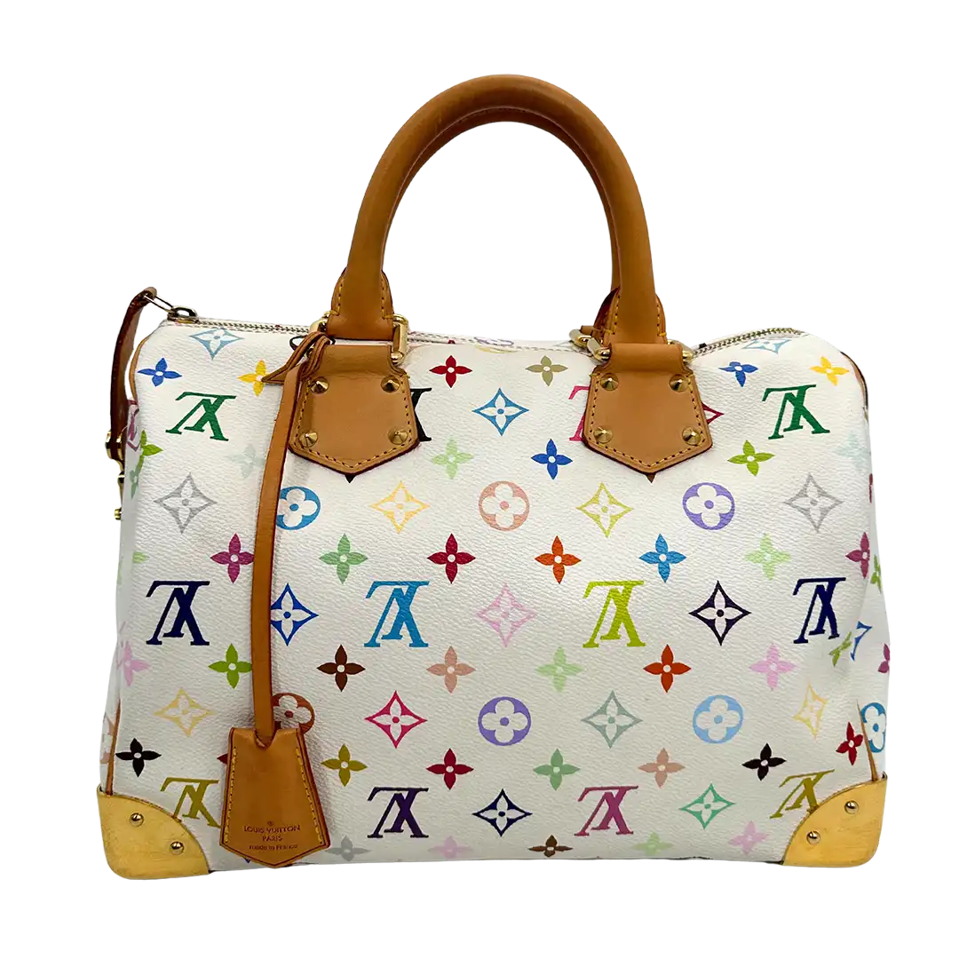 Louis vuitton multicolor speedy 30 hotsell