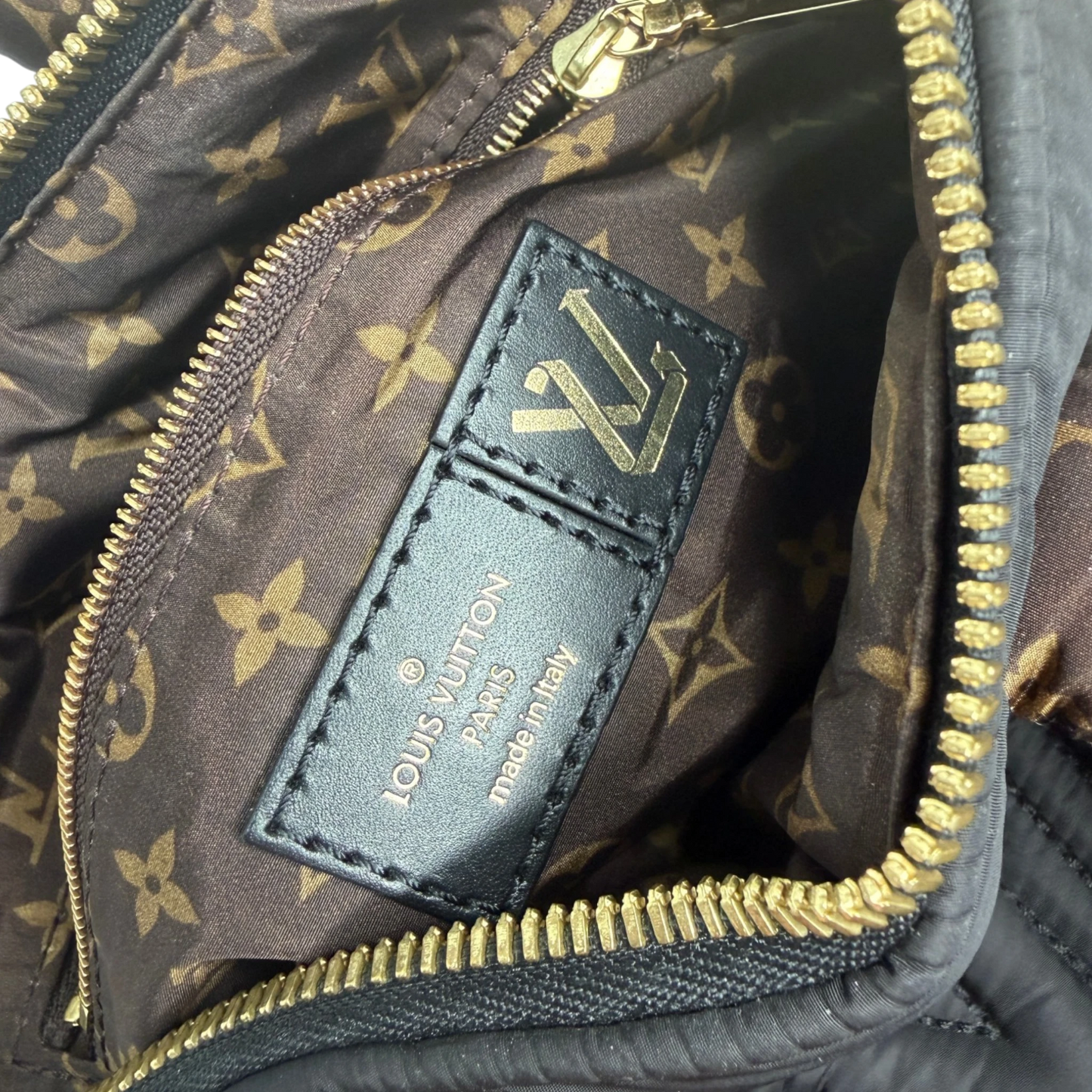 Louis Vuitton Speedy 25 Pillow Bandouliere M59008 Louis Vuitton