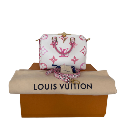 Louis Vuitton Speedy 25 by the Pool M23073 Fullset / neuwertig Louis Vuitton