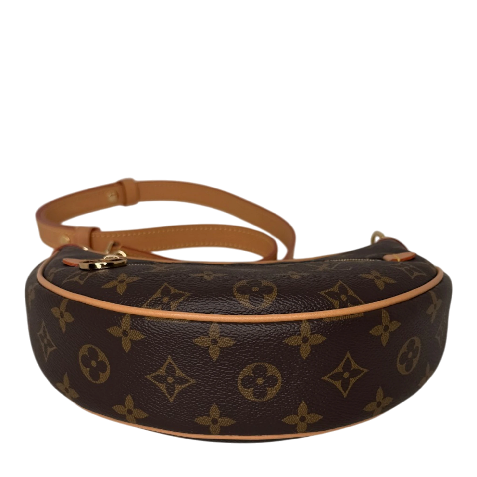 Louis Vuitton Loop PM Monogram Canvas M81098 Fullset Louis Vuitton