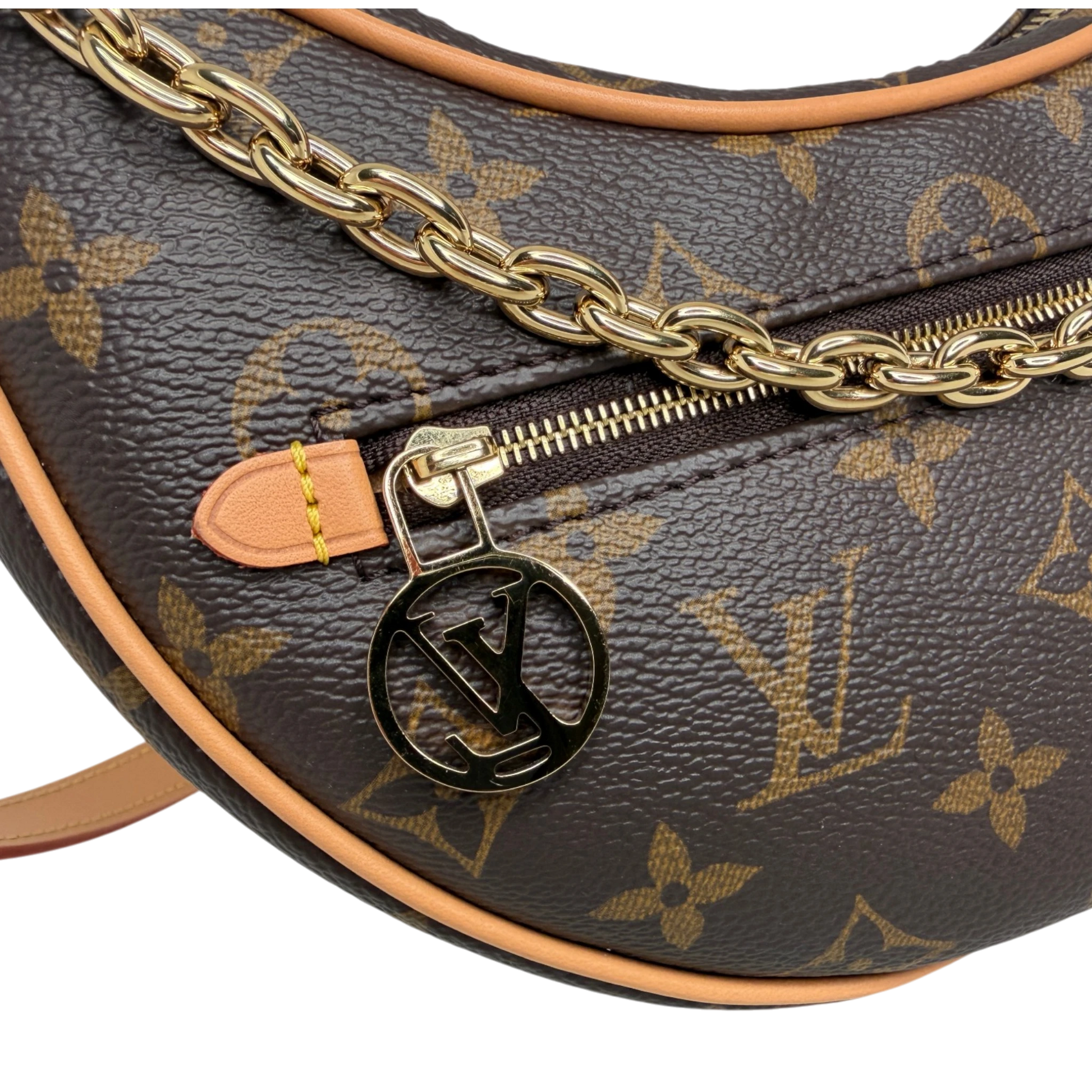 Louis Vuitton Loop PM Monogram Canvas M81098 Fullset Louis Vuitton