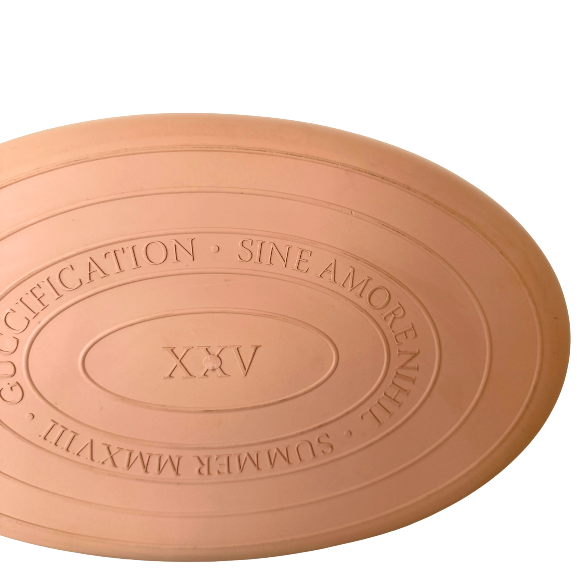 Gucci Rubber Tote Bag Rosa / sehr gut Gucci